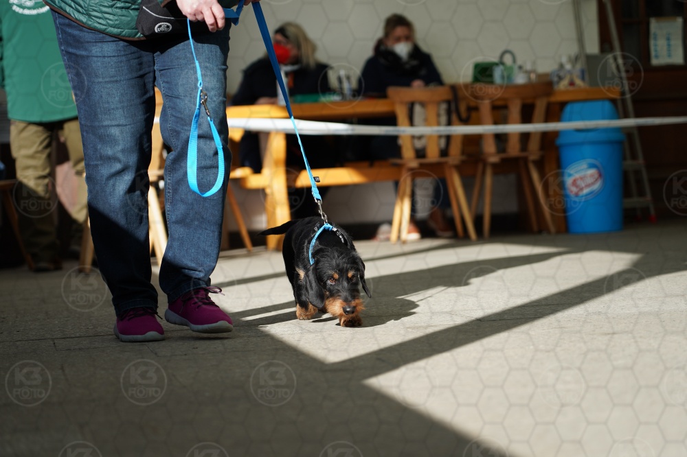 s_A9_09106.jpg